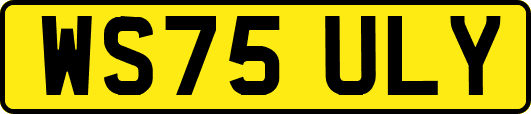 WS75ULY