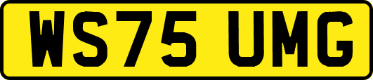 WS75UMG