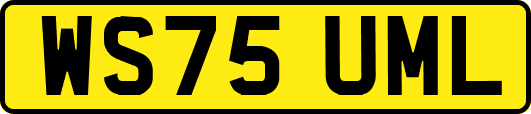 WS75UML