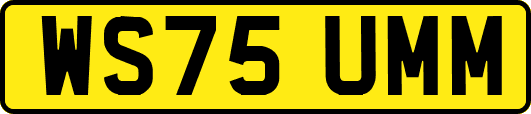 WS75UMM