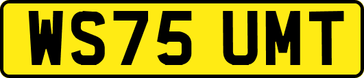 WS75UMT