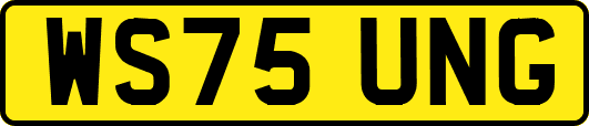 WS75UNG