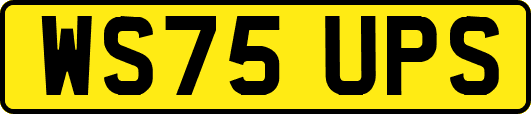 WS75UPS