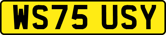 WS75USY
