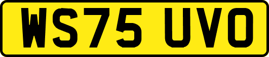 WS75UVO
