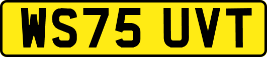 WS75UVT
