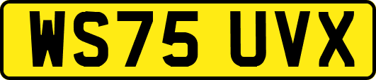 WS75UVX