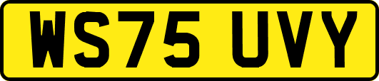 WS75UVY