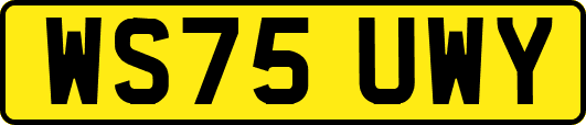 WS75UWY