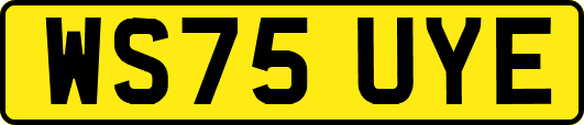 WS75UYE