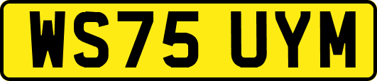 WS75UYM