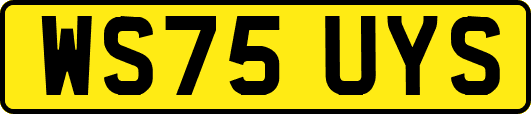 WS75UYS