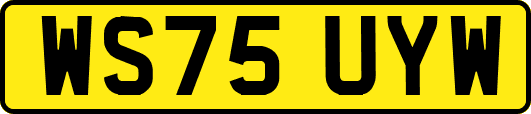 WS75UYW