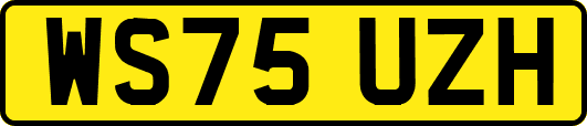 WS75UZH
