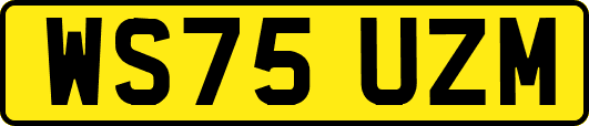 WS75UZM