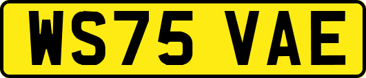 WS75VAE