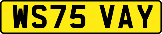 WS75VAY