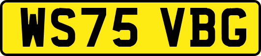 WS75VBG