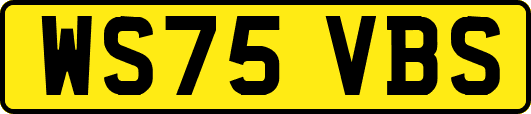WS75VBS