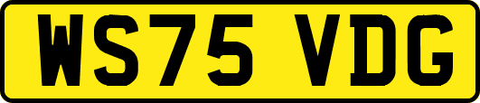 WS75VDG