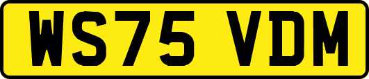 WS75VDM