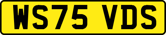 WS75VDS