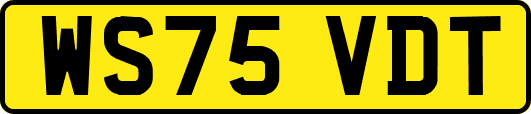 WS75VDT