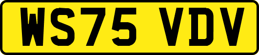 WS75VDV