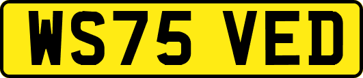 WS75VED