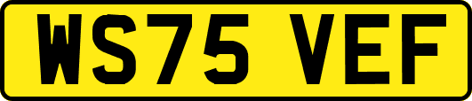 WS75VEF