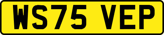 WS75VEP