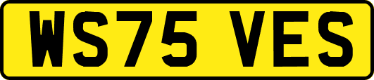 WS75VES