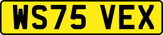 WS75VEX