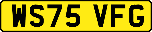 WS75VFG