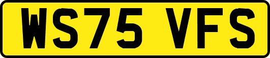 WS75VFS