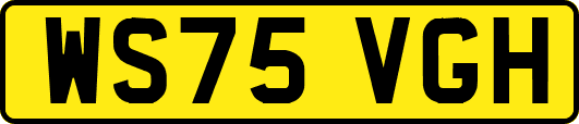 WS75VGH