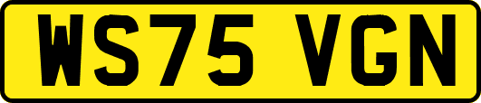 WS75VGN