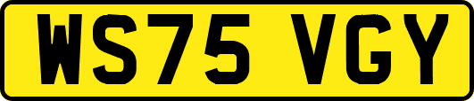 WS75VGY