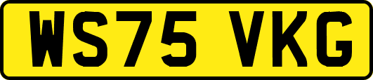WS75VKG