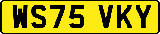 WS75VKY