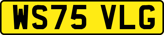 WS75VLG