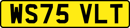 WS75VLT