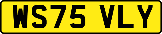 WS75VLY