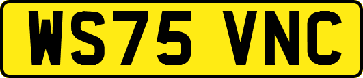 WS75VNC