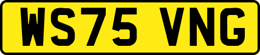 WS75VNG
