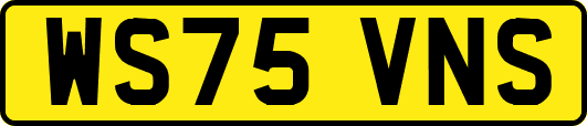 WS75VNS