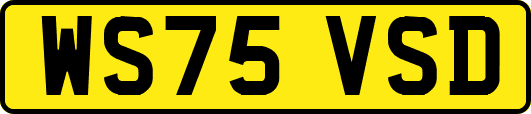 WS75VSD