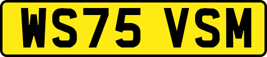 WS75VSM