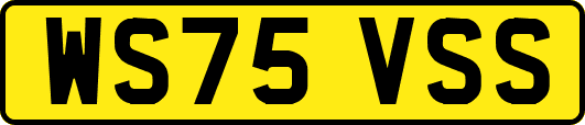 WS75VSS