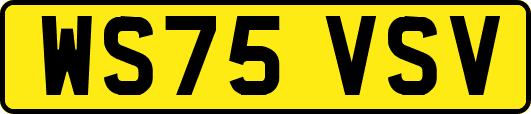 WS75VSV
